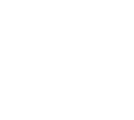 icon australia