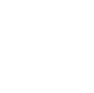 icon health cross