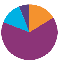 icon pie chart